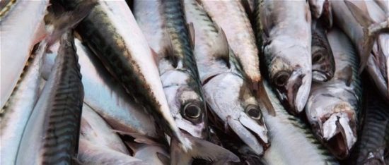 Controllate aziende salernitane nel settore ittico : due denunce.