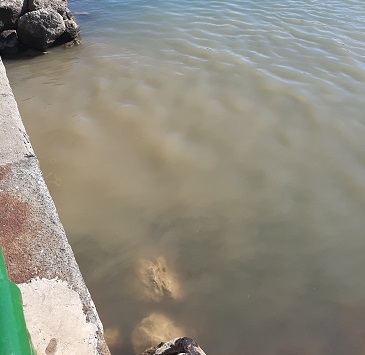 Nuovo sversamento di liquami nel mare di Salerno