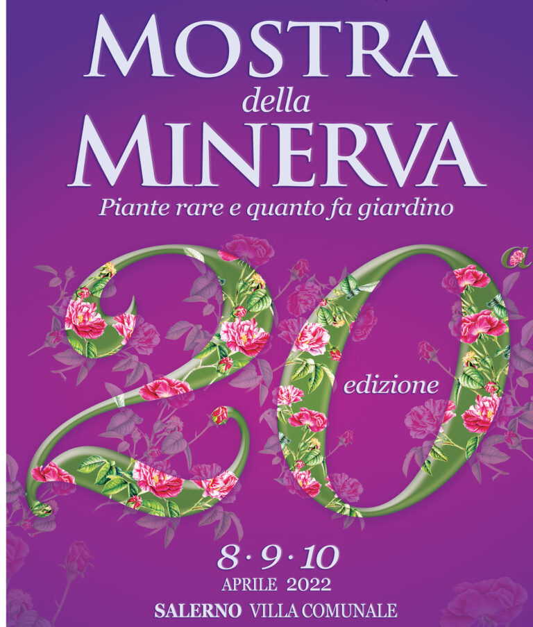 A Salerno ritorna La Mostra della Minerva, organizzata  dall’Associazione Hortus Magnus